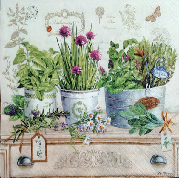 HERBARIUM
