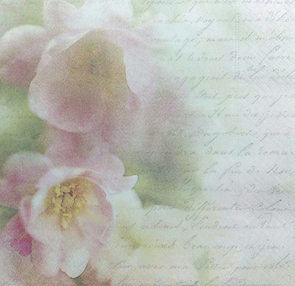 APPLE FLOWER