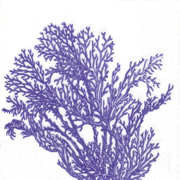 CORAL MARINE