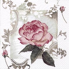 ENCHANTING ROSE VINTAGE ROSÉ