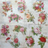 ENGLISH ROSES - Imagen 2