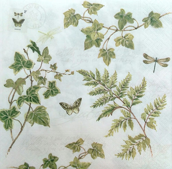 IVIES AND FERNS