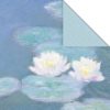 NENÚFARES - Imagen 2