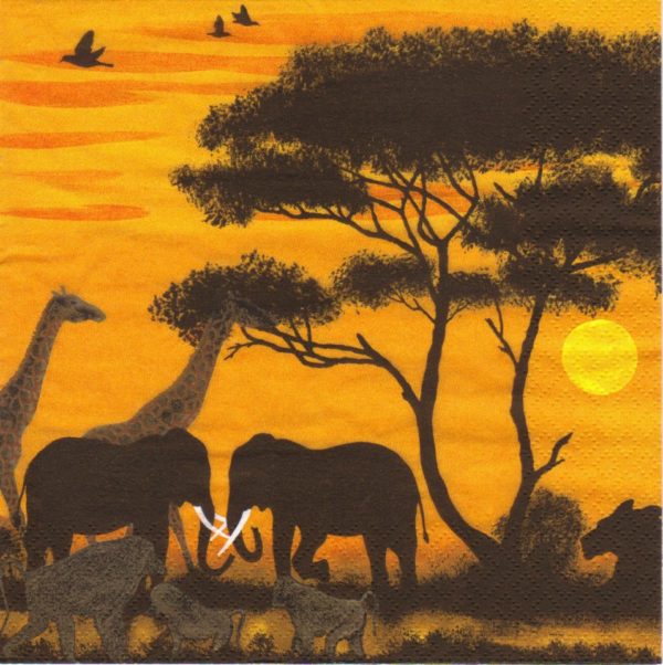 OKAWANGO PARK