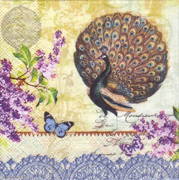 PAVO REAL