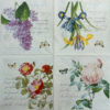 ROSE BOTANICAL - Imagen 2