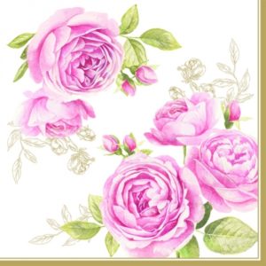 DELICATE ROSES