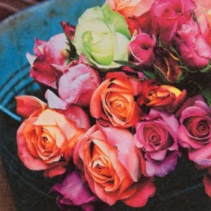 LES ROSES SUR MARCHE