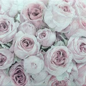 LIGHT PINK ROSES