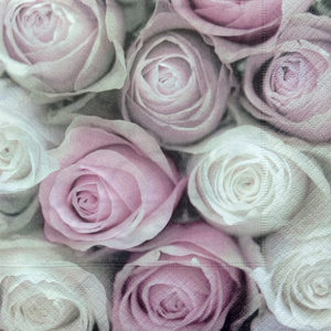 PINK AND WHITE ROSES