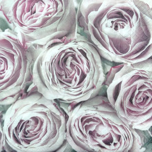 PINK ROSES