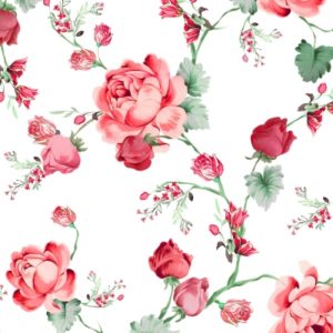 COTTAGE ROSES