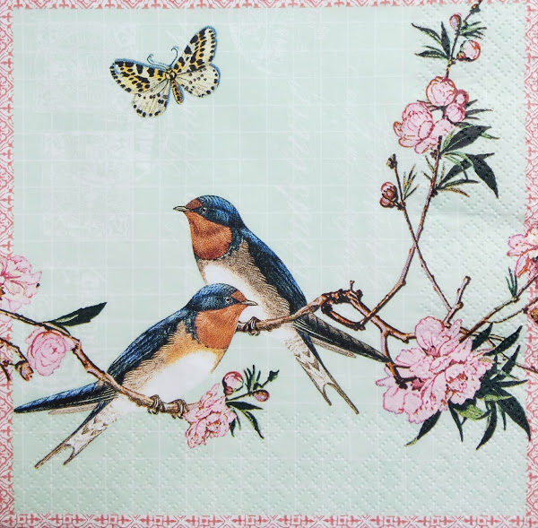 SWALLOWS
