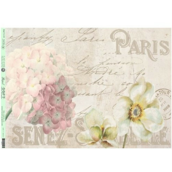 CARTA CON HORTENSIAS