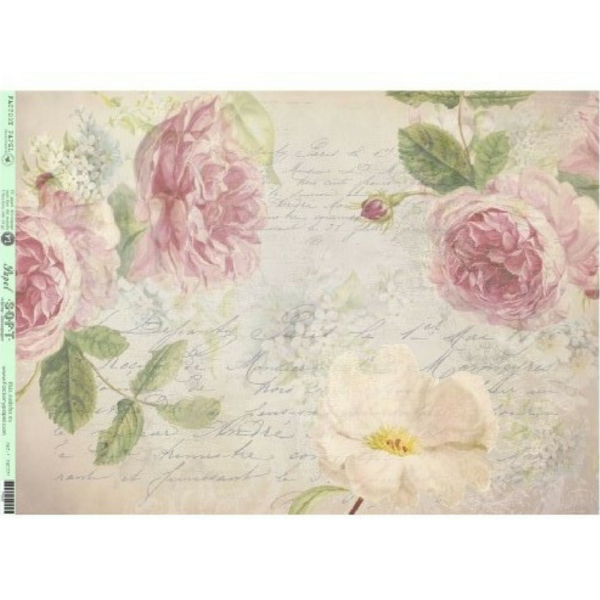 CARTA CON PEONIAS