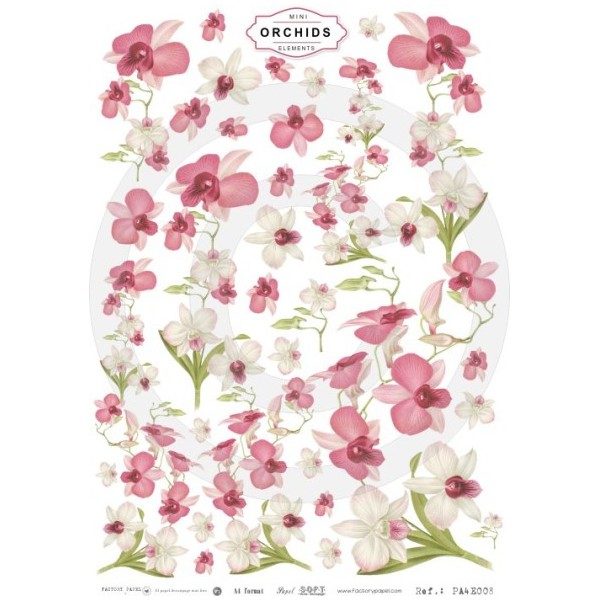 ORQUÍDEAS