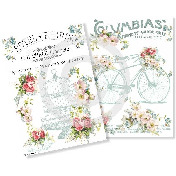 JAULA Y BICI