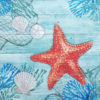 CLEARWATER CRAB AND STARFISH - Imagen 2