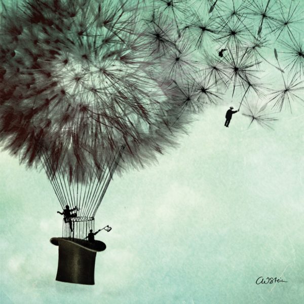 FLY AWAY DANDELION
