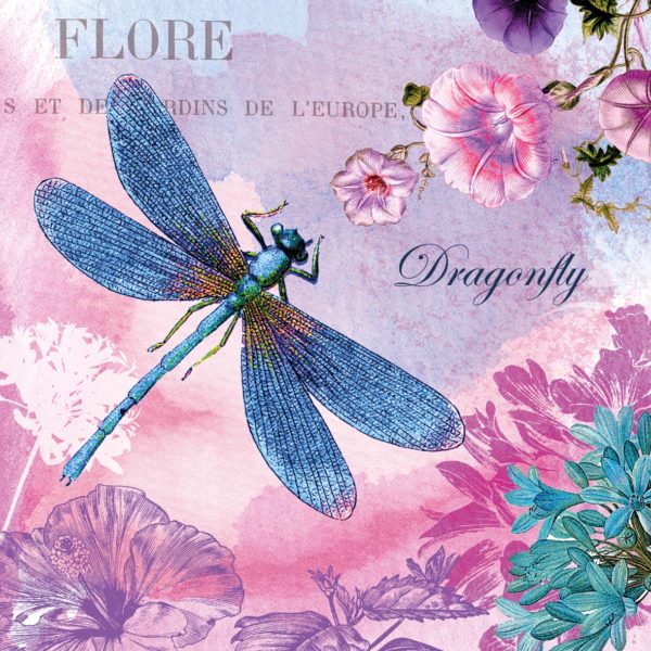 BLUE DRAGONFLY