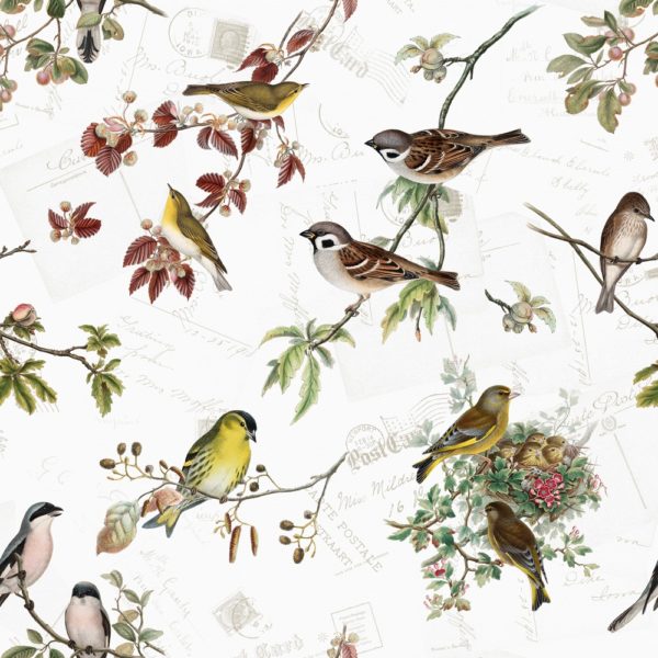 BIRD FAMILY ON BRANCHES