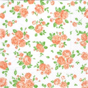 LITTLE ROSES APRICOT