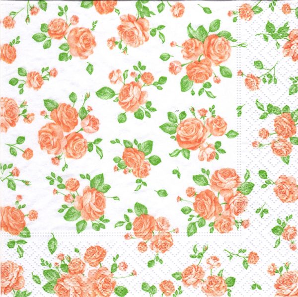LITTLE ROSES APRICOT