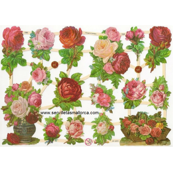 ROSAS III