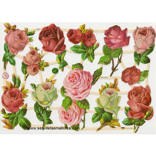 ROSAS VI