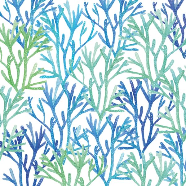 AQUARELLE CORALS