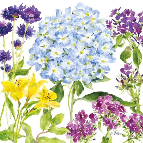 HYDRANGEA GARDEN
