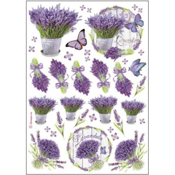 LAVANDER