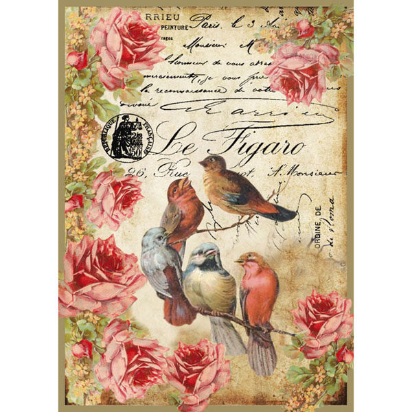 LE FIGARO BIRDS