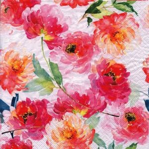 SUMMER ROSES WHITE