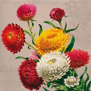 STRAWFLOWERS