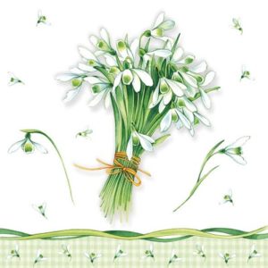 BUNCH OF SNOWDROPS