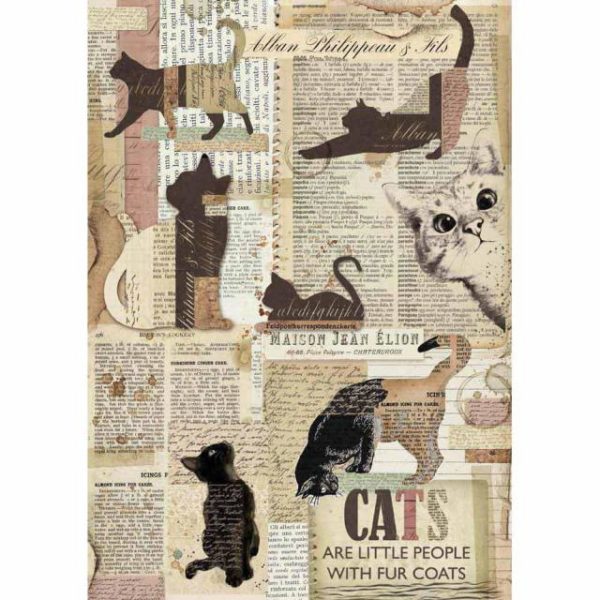 CATS