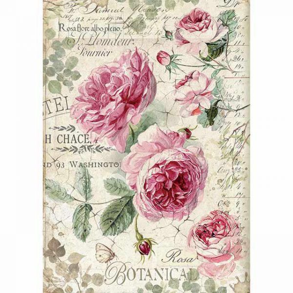 BOTANIC ENGLISH ROSES