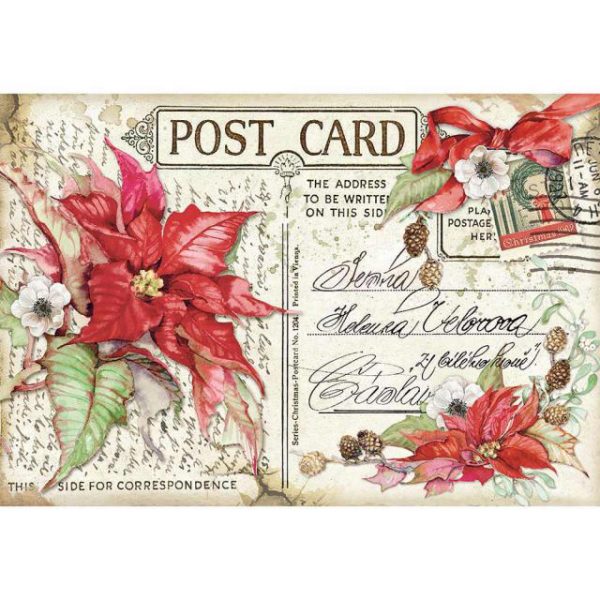 POINSETTIA POSTCARD