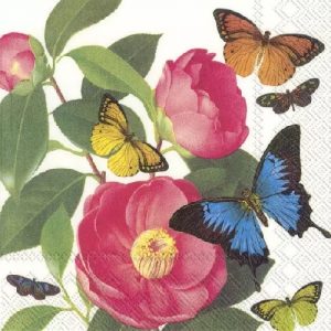 GLAMOROUS CAMELLIA 33X33