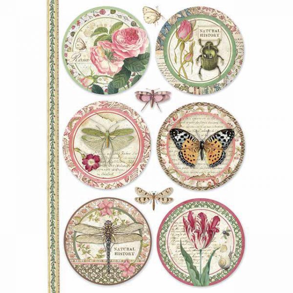 BOTANIC ROUNDS