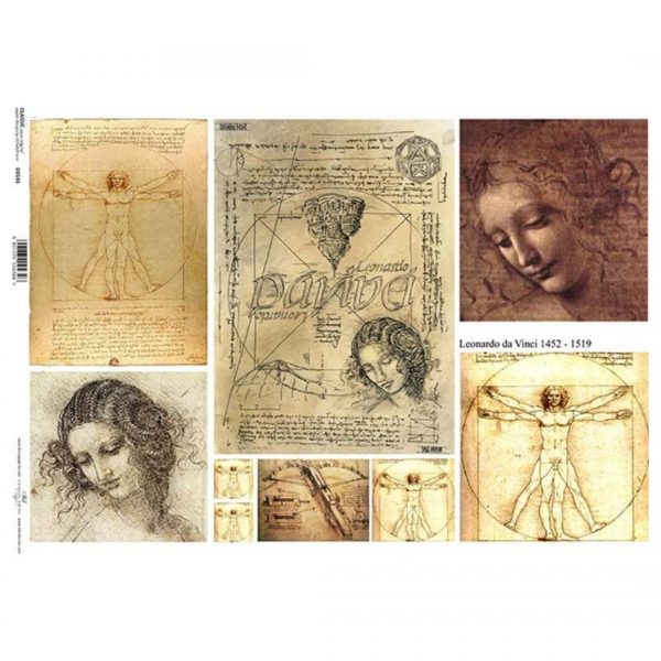 DA VINCI DRAWINGS (A3)