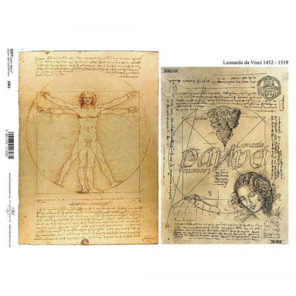 LEONARDI DA VINCI DRAWINGS