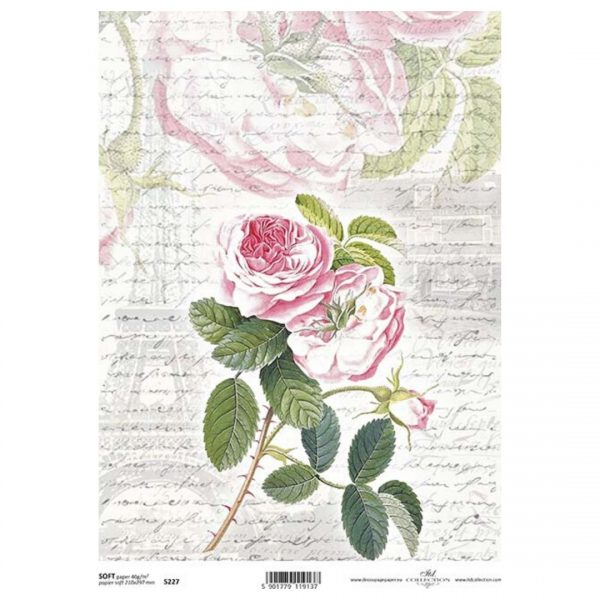 ROSE LETTER PARIS