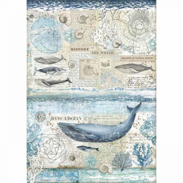 HISTORY OF THE WHALE