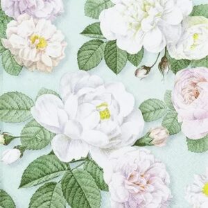 LA ROSA MINT