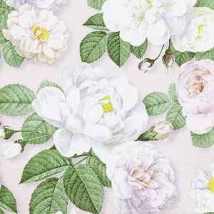 LA ROSA ROSE