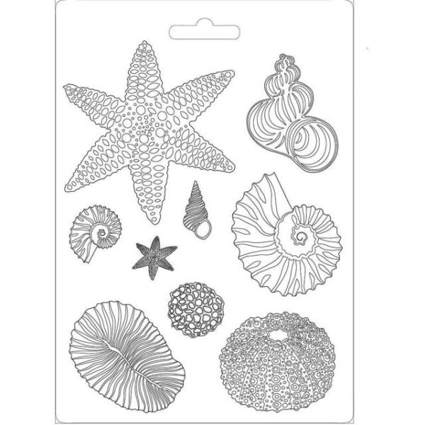SHELLS (A4)