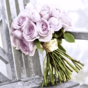PINK ROMANCE