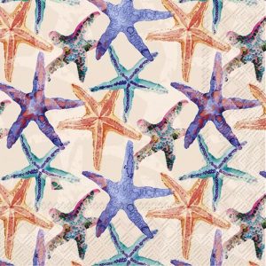 STARFISH ALLOVER CORAL